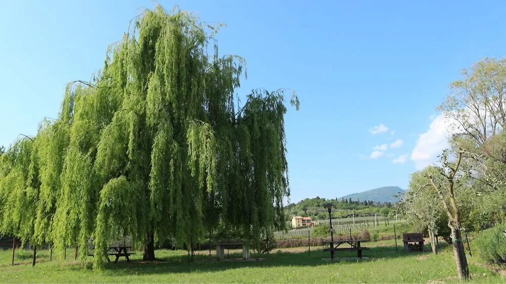 Agriturismo Ca' Castellani Bardolino 0*,  Itália