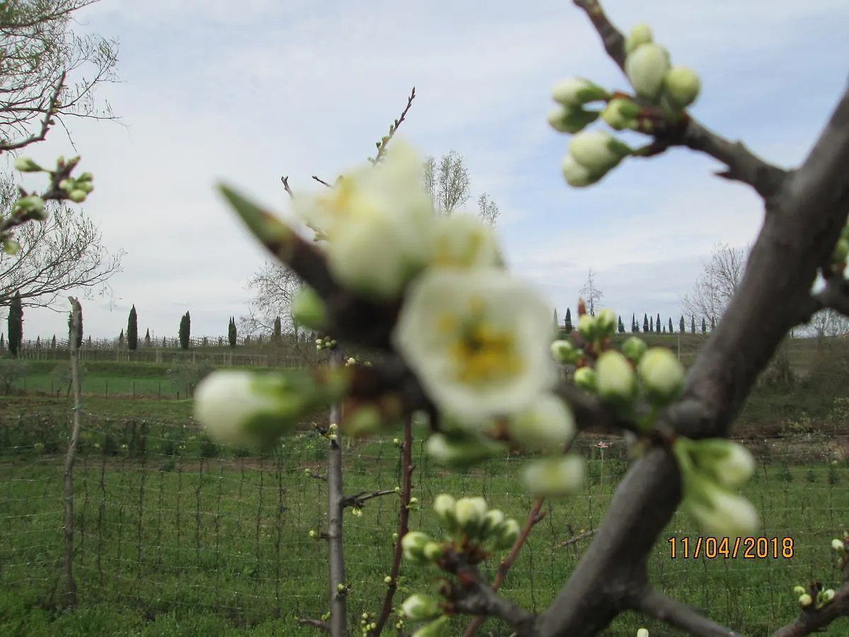 Apartamento Agriturismo Ca' Castellani Bardolino