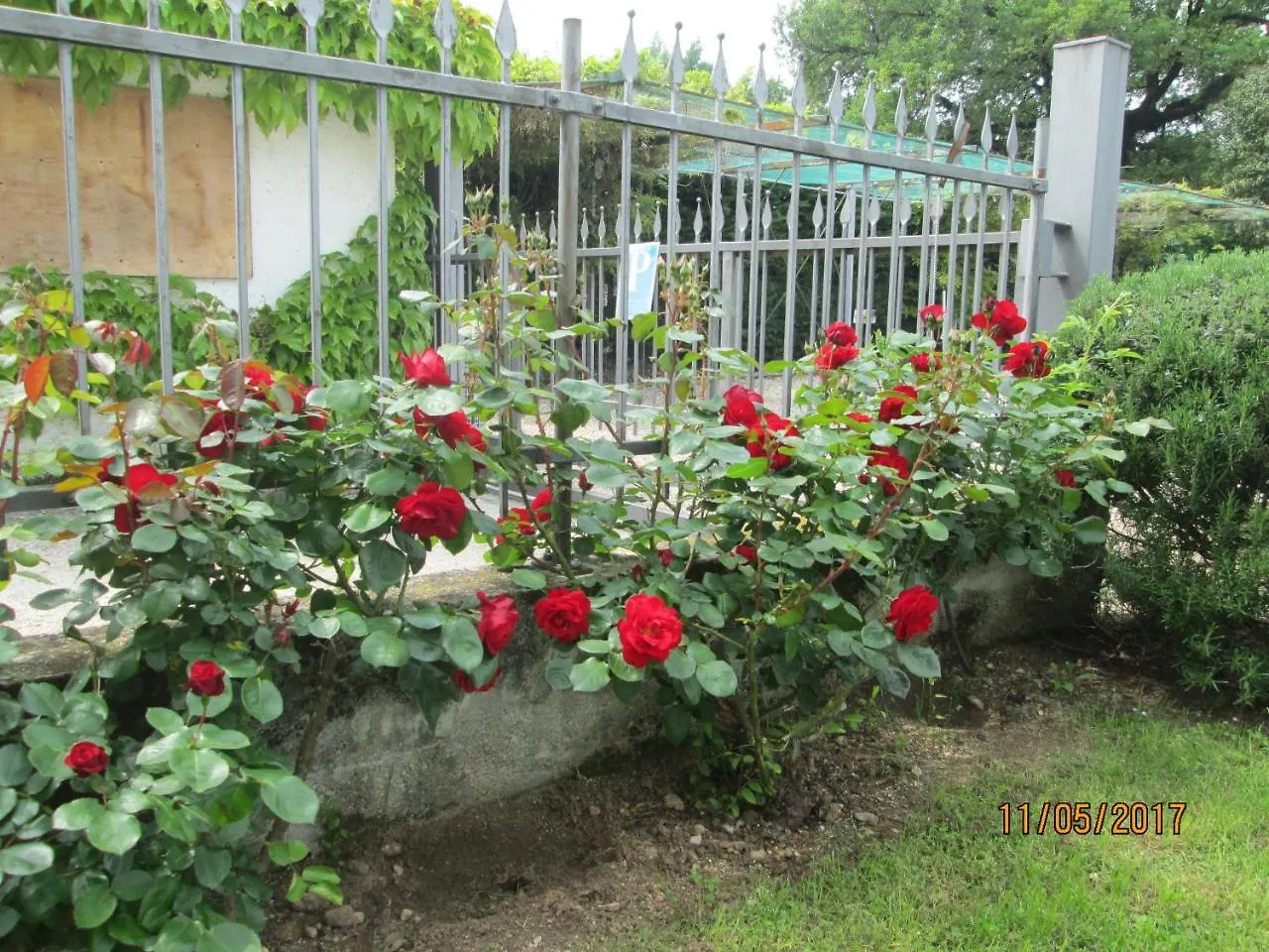 Apartamento Agriturismo Ca' Castellani Bardolino